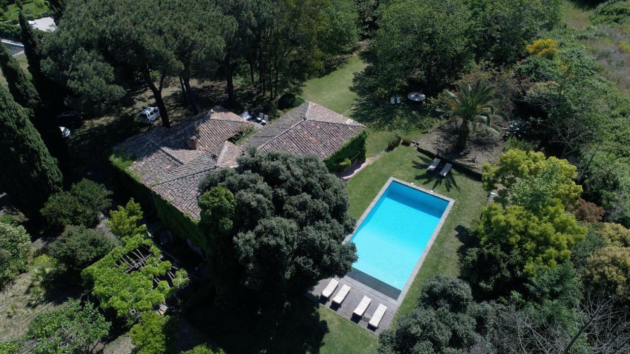 Villa Edera فياغراندي المظهر الخارجي الصورة