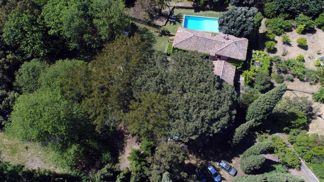 Villa Edera فياغراندي المظهر الخارجي الصورة