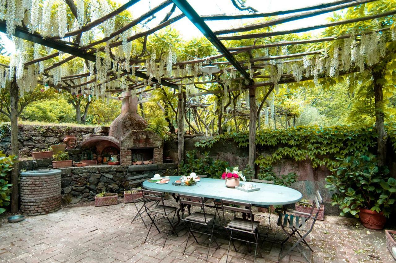 Villa Edera فياغراندي المظهر الخارجي الصورة